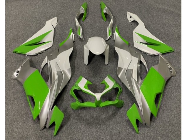 Vert Brillant Blanc & Argent 19-23 Kawasaki ZX6R Carénage Vert Brillant Blanc & Argent 19-23 Kawasaki ZX6R Carénage